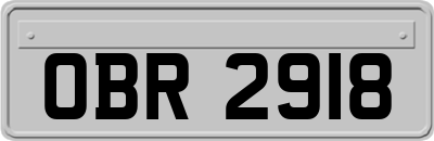 OBR2918
