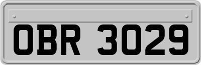 OBR3029