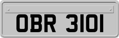 OBR3101