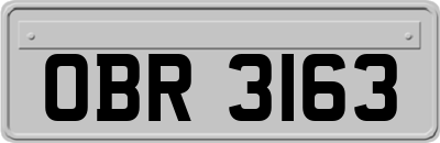 OBR3163