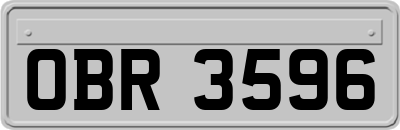 OBR3596