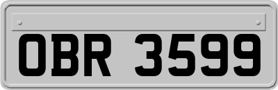 OBR3599