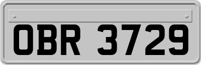 OBR3729