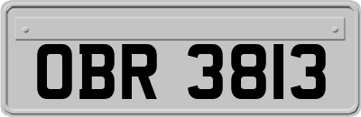 OBR3813