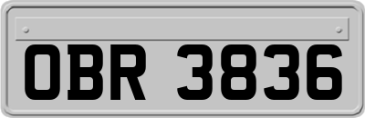OBR3836