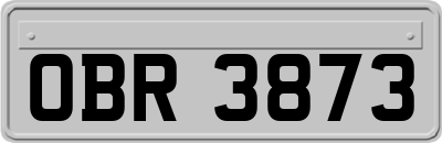 OBR3873