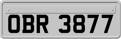 OBR3877