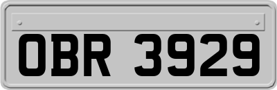 OBR3929