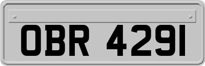 OBR4291