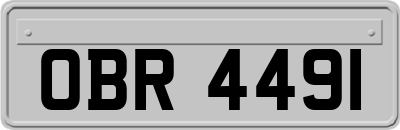 OBR4491