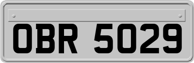 OBR5029