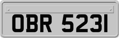 OBR5231