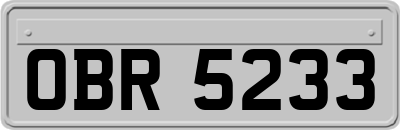 OBR5233
