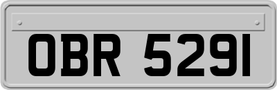 OBR5291
