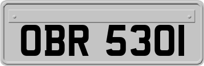 OBR5301