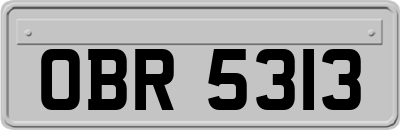 OBR5313