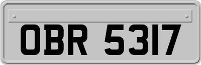 OBR5317