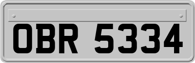 OBR5334
