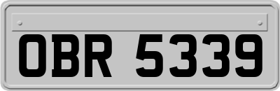 OBR5339