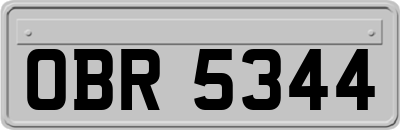 OBR5344
