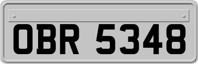 OBR5348