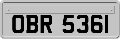 OBR5361