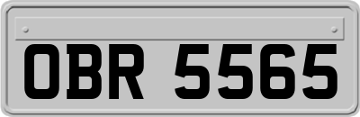 OBR5565