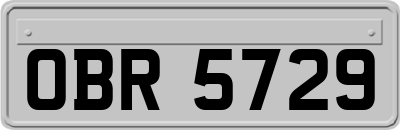OBR5729
