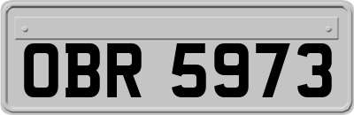 OBR5973