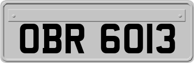 OBR6013