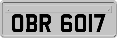OBR6017
