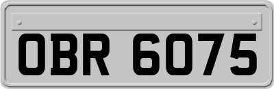 OBR6075
