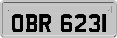 OBR6231