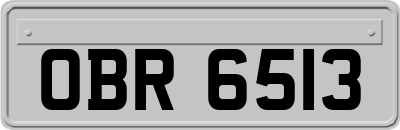 OBR6513