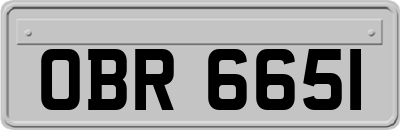 OBR6651