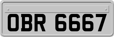 OBR6667