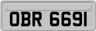 OBR6691
