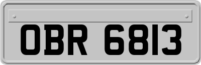 OBR6813