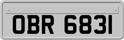 OBR6831