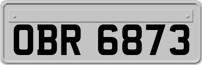 OBR6873