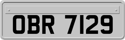 OBR7129