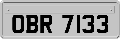 OBR7133
