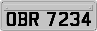 OBR7234