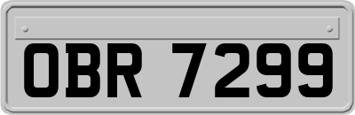 OBR7299