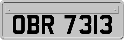 OBR7313