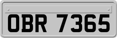 OBR7365