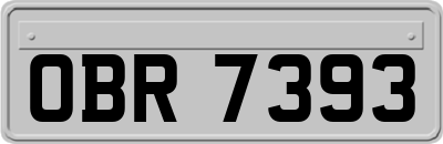 OBR7393