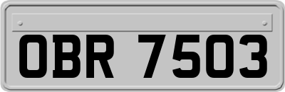 OBR7503