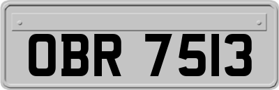 OBR7513
