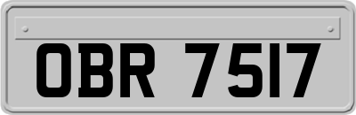 OBR7517